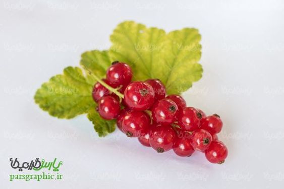 Wild Berries