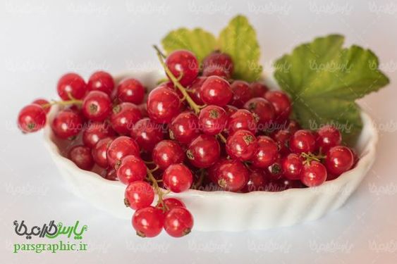 Wild Berries