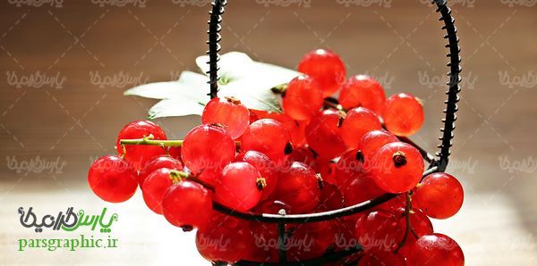 Wild Berries