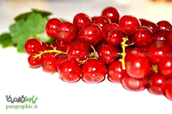 Fruit