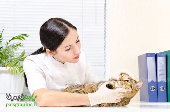 Veterinary Medicine