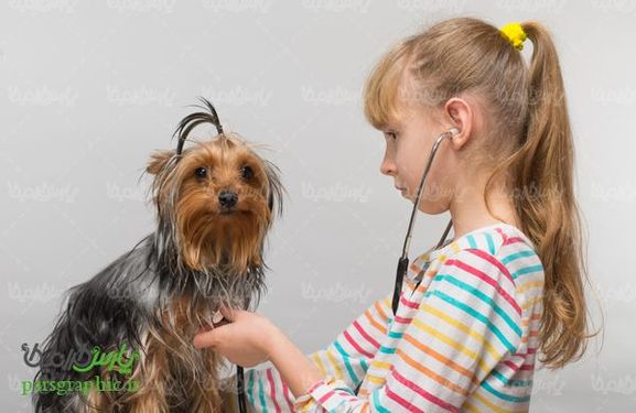 Veterinary Medicine