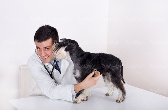 Vet