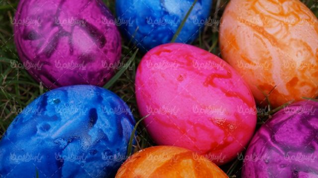 Colored eggs