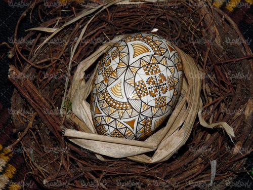Colored eggs