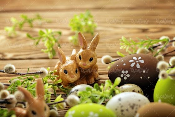 Colored eggs