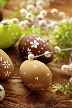 Colored eggs