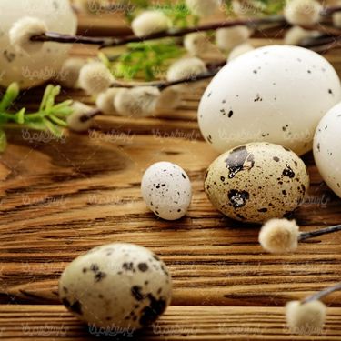 Colored eggs