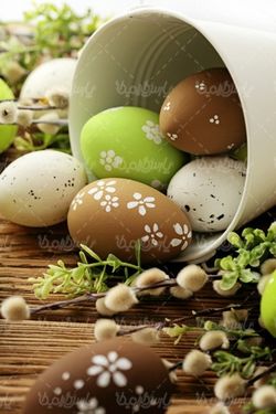 فصل بهار