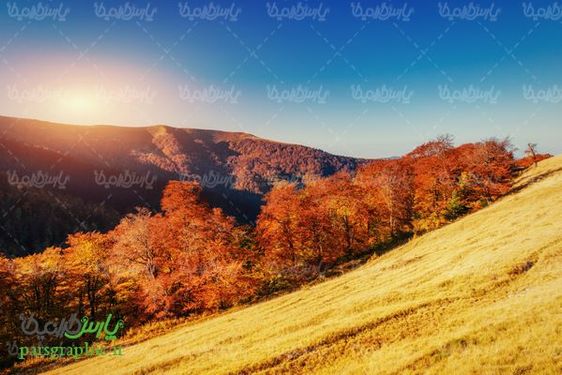 دانلود رایگان عکس پاییز