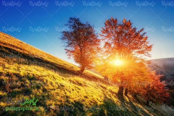 دانلود رایگان عکس پاییز