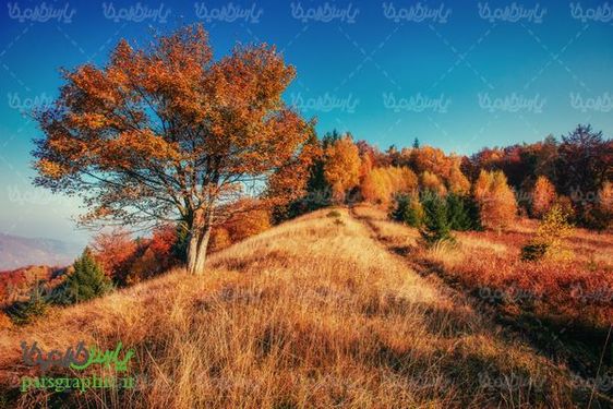 پاییز
