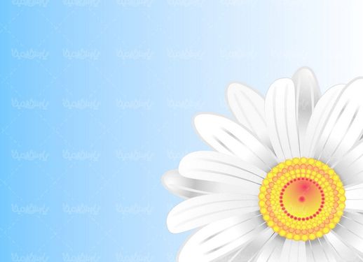 پس زمینه گل