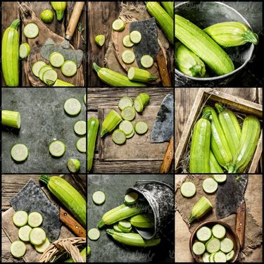 Zucchini
