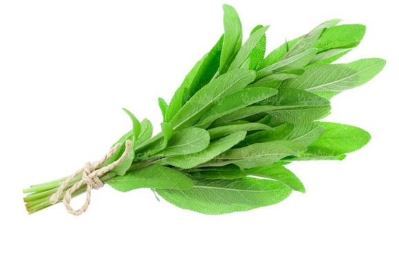 سبزیجات
