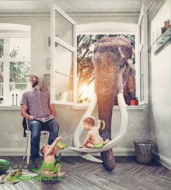 بازی بچه با فیل