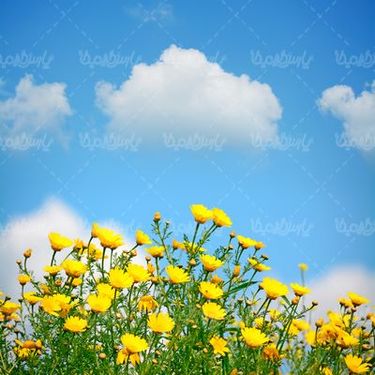 فصل بهار