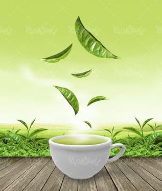 فنجان چای سبز