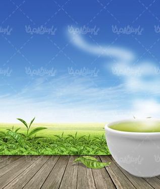 فنجان چای سبز
