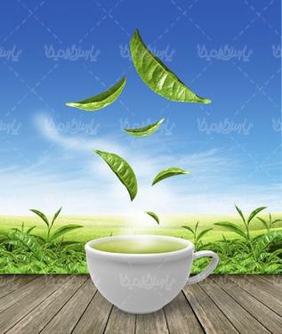 فنجان چای سبز