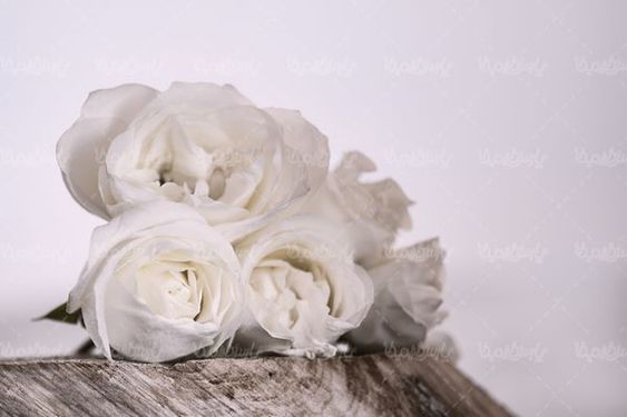 گلفروشی
