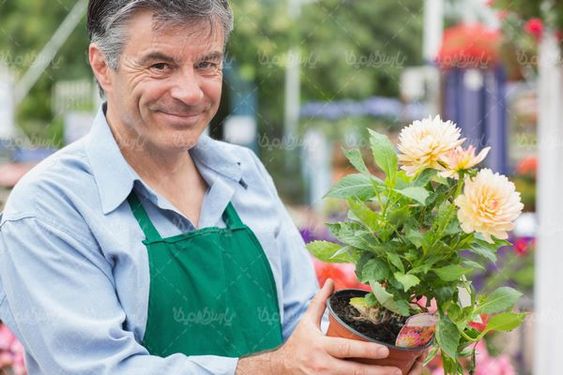 گلخانه