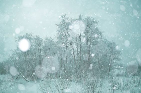 Snow