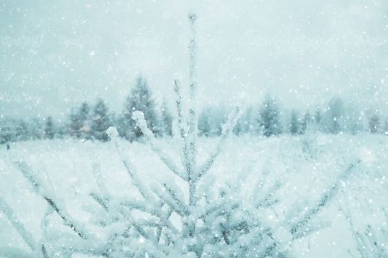 Snow