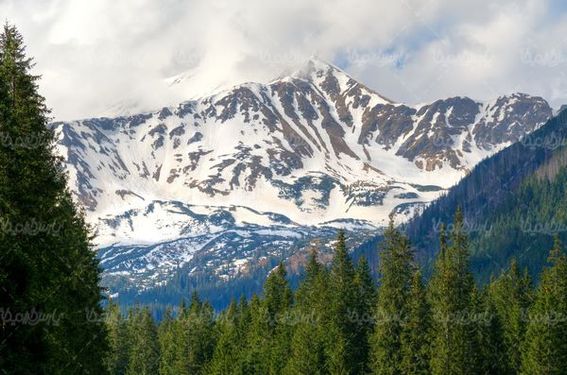 طبیعت بهاری