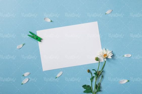 منظره