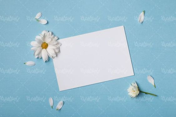 منظره