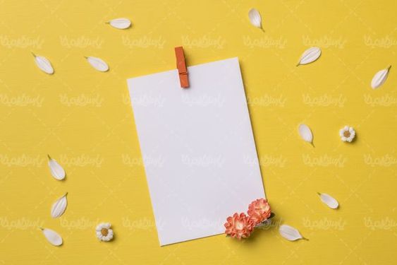 White paper