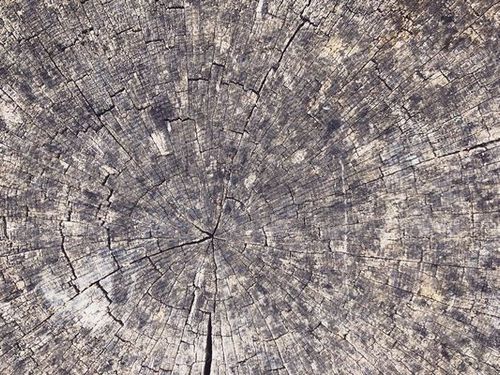 Wood background