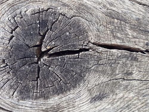 Wood background