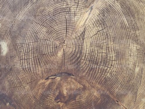 Wood background