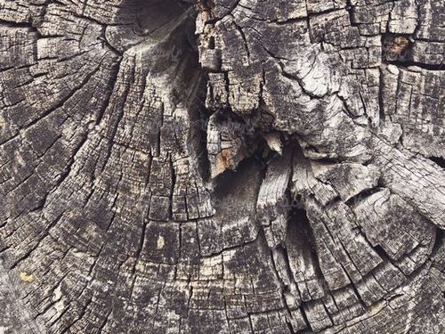 Wood background