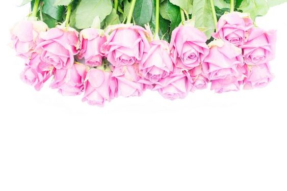 دسته گل رز