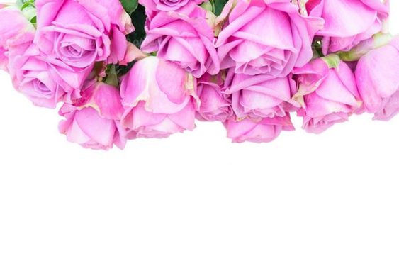 دسته گل رز