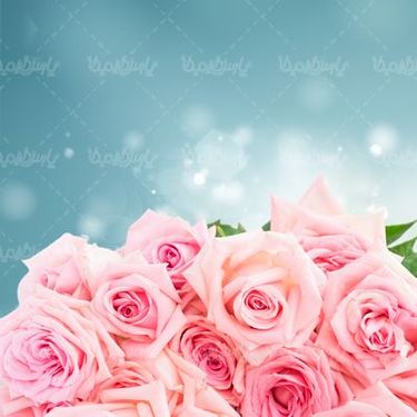 Bunch of roses