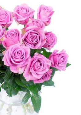 Bunch of roses