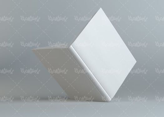 White Book