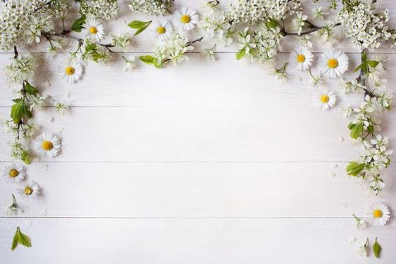 حاشیه شکوفه طبیعی