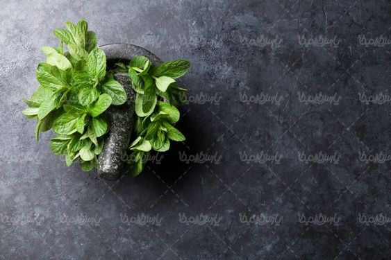 پونه