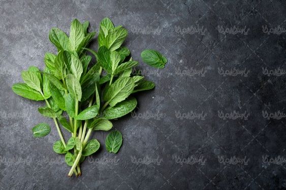 پونه