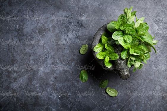 Oregano
