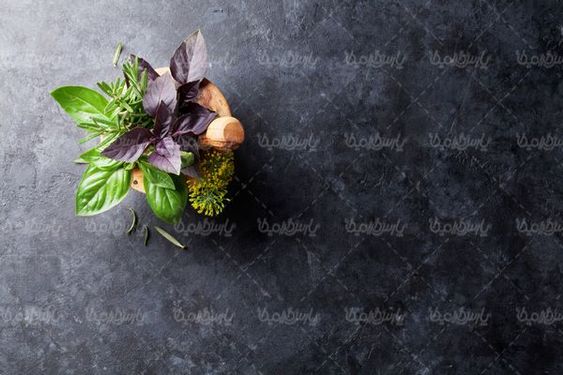 Oregano