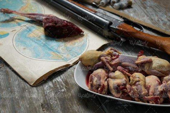 اسلحه شکاری