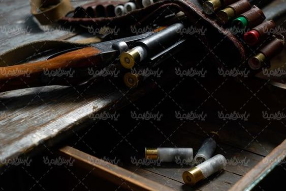 hunting gun