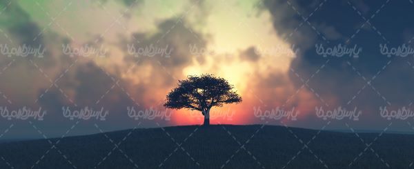 منظره زیبا