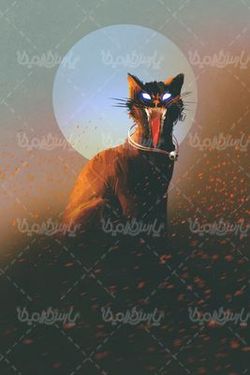 گربه